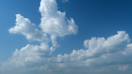 Soft white clouds. Clouds form against a dark blue sky. Blue sky white clouds. Timelapse.