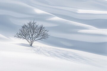 Obraz premium Minimalist photography, an isolated tree in the snow, foggy background, soft blue tones