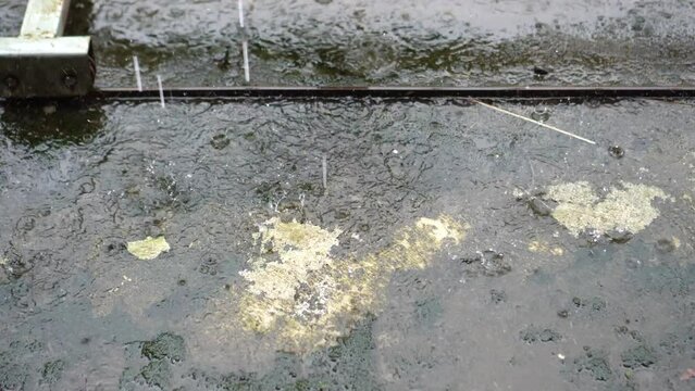 raindrops falling on the concrete floor which is starting to erode with a stretch of rusty old iron pliers.