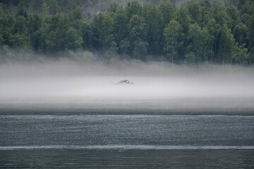 thick morning fog on the lake against the backdrop of mountains landscape on Lake Teletskoye