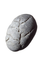 Stone with imprinted coral structure isolated on a white background