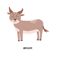 Childrens animal card antelope for education. Kindergarten design. Cute african animal flash card on english language. Funny cartoon character poster for kids room with quotes.