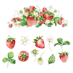 Watercolor strawberry bush with flowers and butterfly