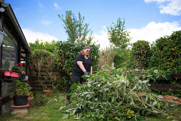 A woman trims a hedge in the garden