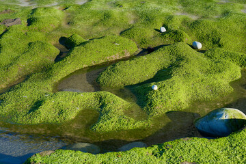 View of Azkorri or Gorrondatxe beach in Getxo, Biscay, Basque Country