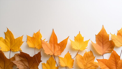 Fototapeta premium Fallen colorful leaves on white. Autumn season. Beautiful nature. Seasonal decoration. Top view.