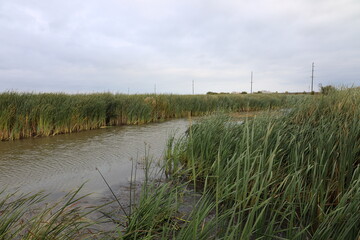 open water channels in prairie marshes