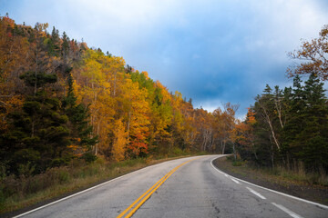 Fototapeta premium View of a road at the Cape Breton Highlands National Park, lined with trees with automn color foliage, in Nova Scotia, Canada; Concept for travel in Canada