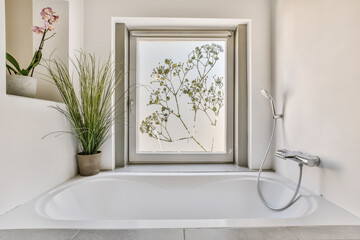 Modern bathroom interior with natural light and plants