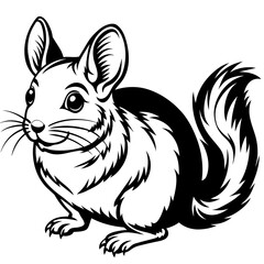 solid-black-outline-chinchilla-animal-vector 