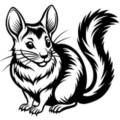 solid-black-outline-chinchilla-animal-vector 