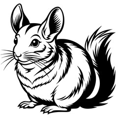 solid-black-outline-chinchilla-animal-vector 