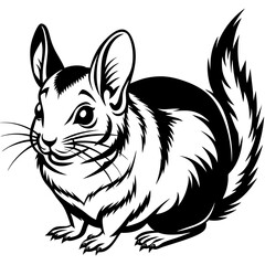 solid-black-outline-chinchilla-animal-vector 