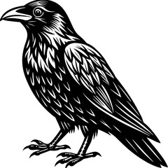 solid-black-outline-common-raven-animal-vector