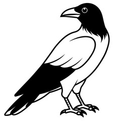 solid-black-outline-common-raven-animal-vector