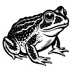 solid-black-outline-common-toad-animal-vector 