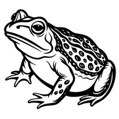 solid-black-outline-common-toad-animal-vector 
