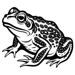solid-black-outline-common-toad-animal-vector 