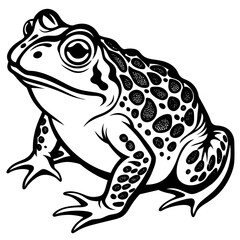 solid-black-outline-common-toad-animal-vector 