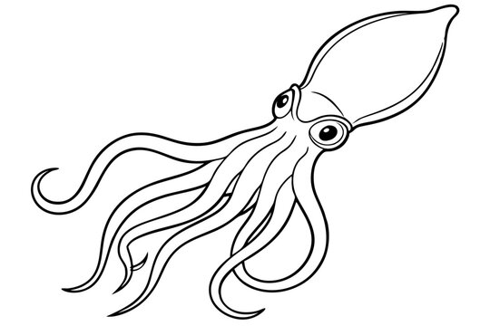 black and white squid drawing