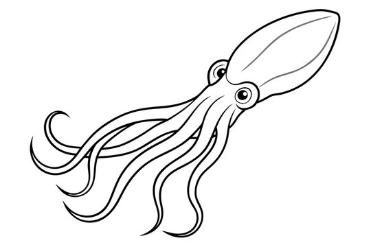 black and white squid drawing