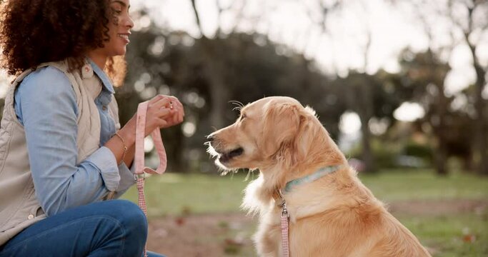 Outdoor, woman and dog in park for eating, snack and bonding together as friends. Nature, pet owner and golden retriever for feed break after walk, train and treats for animal companion with leash