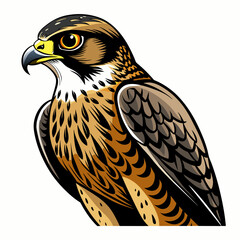 solid-black-outline-cooper-s-hawk-animal-vector