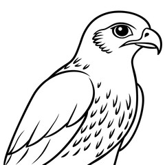 solid-black-outline-cooper-s-hawk-animal-vector