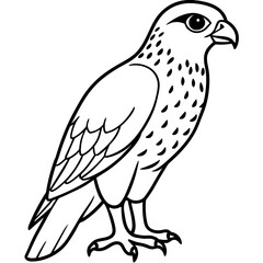solid-black-outline-cooper-s-hawk-animal-vector