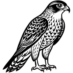 solid-black-outline-cooper-s-hawk-animal-vector