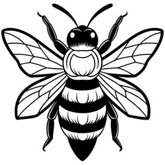 solid-black-outline-forest-cuckoo-bumblebee-animal