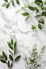 A white marble background with green leaves and branches