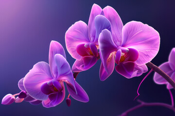 Vibrant Purple Orchids. Stunning 3D vector illustration of vibrant purple orchids in bloom,...