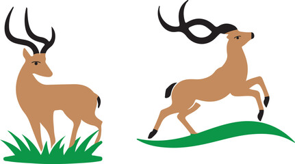 set of deer vector illustration 