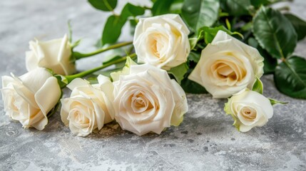 Obraz premium a bouquet of pristine white roses set against a light background, evoking a sense of tranquility and simplicity