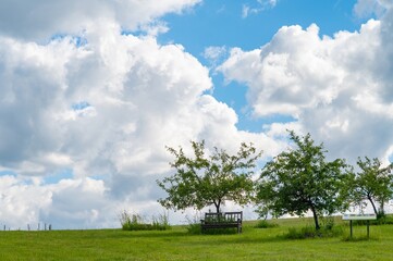 One bench with young trees in a cloudy sky background.