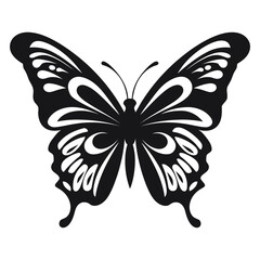 butterfly on white background