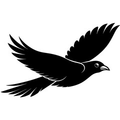 dove of peace