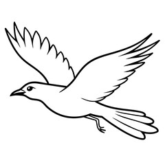dove of peace vector
