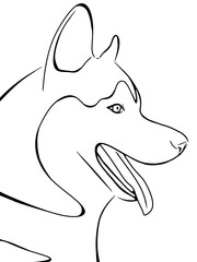 line art, dog image, husky dog, line art, wolf