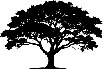 Tree  silhouette