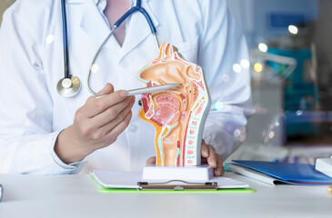 The doctor shows the problem areas of the mucous membranes .
