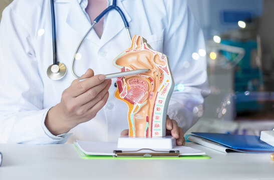 The doctor shows the problem areas of the mucous membranes .