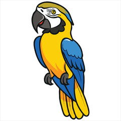 Parrot flat vector illustration Parrot cartoon vector illustration