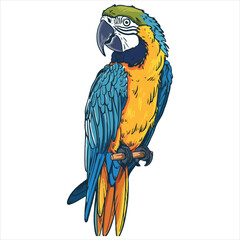 Parrot flat vector illustration Parrot cartoon vector illustration