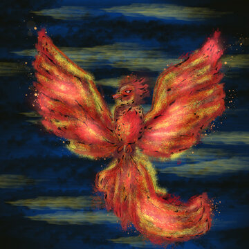 Painted phoenix in the krita program