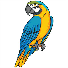 Parrot flat vector illustration Parrot cartoon vector illustration