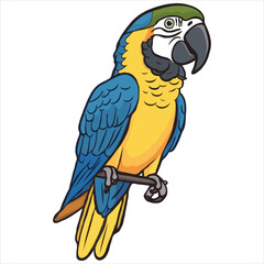 Parrot flat vector illustration Parrot cartoon vector illustration