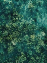 Lush Green Forest from Above