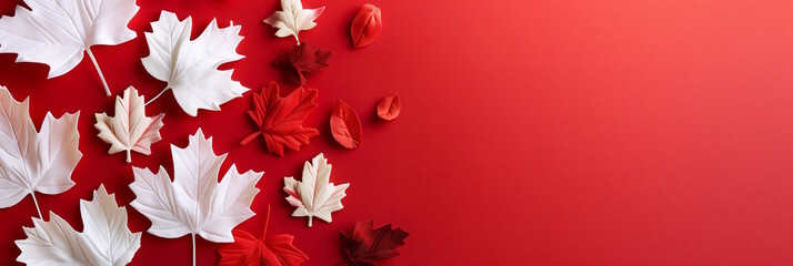White and red leaves on a red background, concept of autumn and Thanksgiving